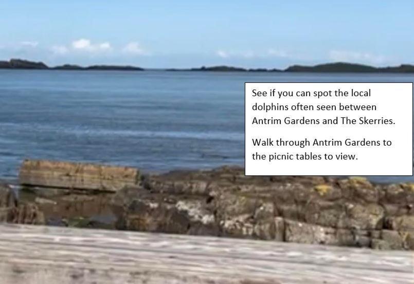 Apt3, No 2 Antrim Gardens, Portrush With Seaview 外观 照片
